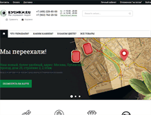 Tablet Screenshot of busiki.ru